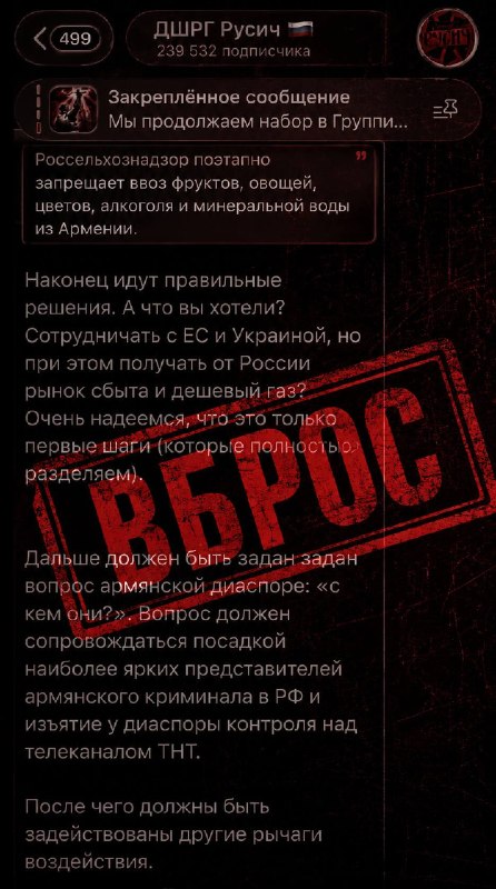 Z-неонацисты хотят ужесточить давление на армянскую диаспору